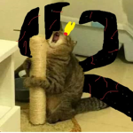 NaaheeGroup