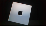 ROBLOXX GANGG