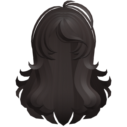 fluffy swirly long side bang hair brown Roblox item