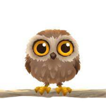 ‘Da Owls