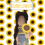 Paradise of sunflowers