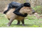 Luna N Friends EZ