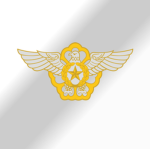 | Republic of Korea Air Force