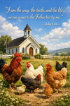 Chicken keeping Official Group