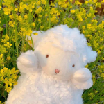 luv-Diary⋮ᵎᵎৎ
