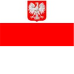 The ROBLOXian Polish Army.