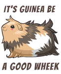 Guinea piggies !!