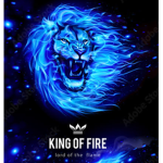 TheSprit Fan group