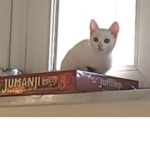 Popcorn,TheCat