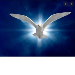 GOD icon