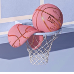 Ro Roblox National Basketball Team