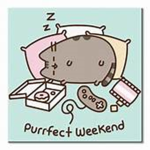 Kitty_Plz