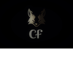 C.F.X corporation