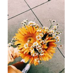 .*All aesthetics.*