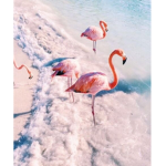 ###### flamingos