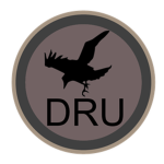 Desert Reconnaissance Unit