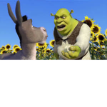 THE CULT OF SHREK!