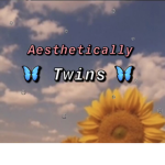 ~ Aesthetically Twins ~