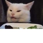 KITTy KiTtY PoOp