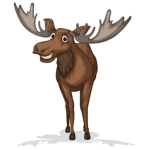 MOOSEYBOOSY