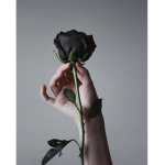 God Rose