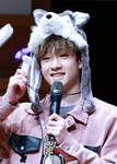 Papi Bangchan Cult