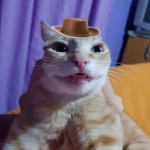 Guanyan007