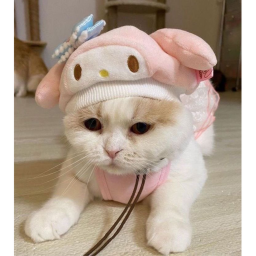 🍡