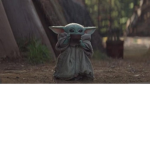 TeamBabyYoda