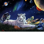 Tigers In Space