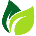 Avilera Game Development