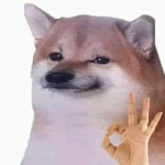 DOAÇÃO DE RIM( só quando eu tenho condições :v)