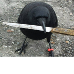 不滅のカラス Fumetsu no Karasu