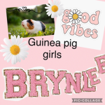 Guinea love!