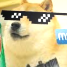 🐶 Doge City 🐶