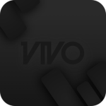 Vivo Retail Venture
