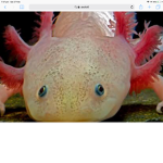 Name? Hi
