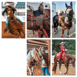 <<{PAINTED RIDERS}>>