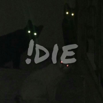 !die