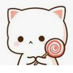 •cute cat •