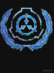 the racing comunnity