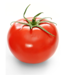 Tomato Devs