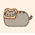 Pusheen and stormy!