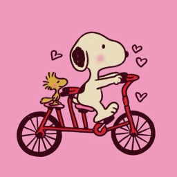 ʚɞ