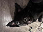 Ollie is the best -
