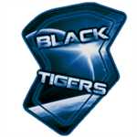 The Black Tigers Airforce Division