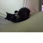 Oliver und Thomas und Hannah Gruppe