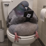 Sigeon Pex