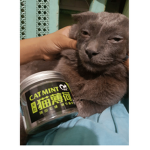 Church of Cat mint