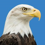 Eagle_Group